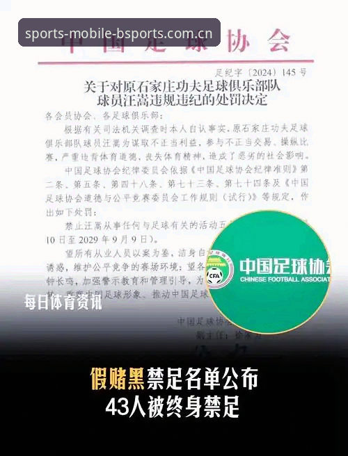 中国足协第三批禁足名单深度评测：反腐风暴下的足球生态重构